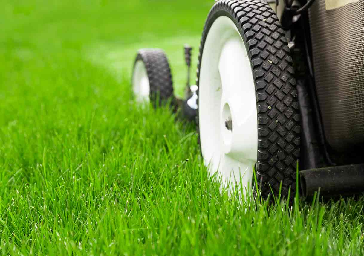 Summer Lawn Care
