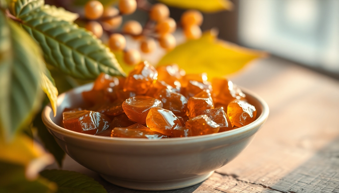 Le résine de Benjoin luisante dans un plat, entourée de feuilles de Styrax.